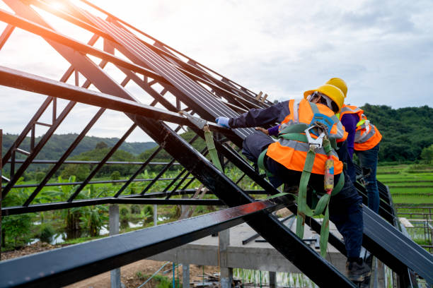 Best Roof Repair Services  in Vandercook Lake, MI