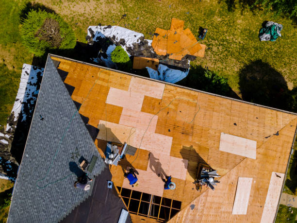 Best Local Roofing Companies  in Vandercook Lake, MI