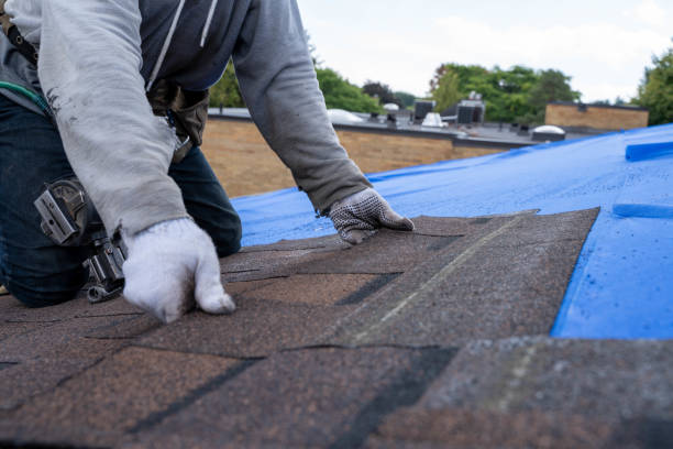 Professional Roofing Contractor in Vandercook Lake, MI