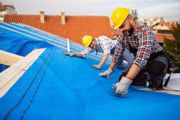Roof Waterproofing Services in Vandercook Lake, MI