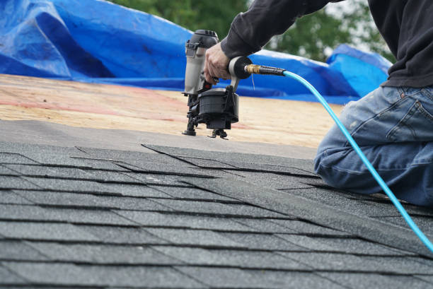 Best Local Roofing Companies  in Vandercook Lake, MI