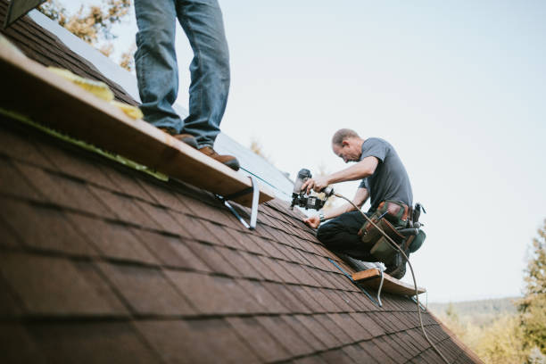Best Roof Maintenance Services  in Vandercook Lake, MI
